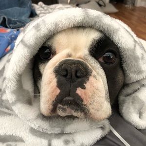 Meet your Posher, Ashlee